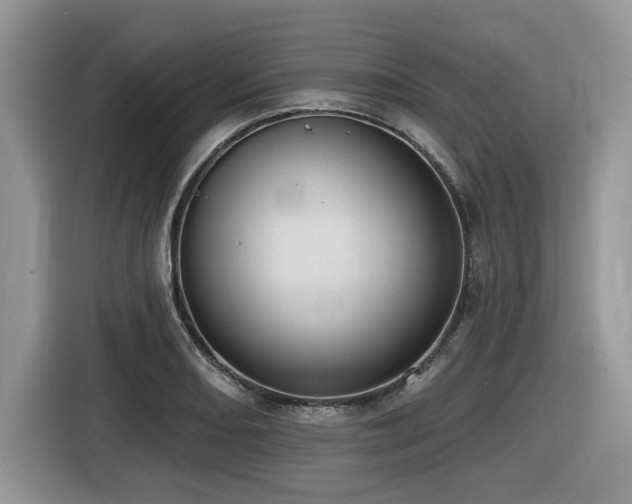 X0000116431082200912081519