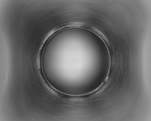 X0000116431083200912081519
