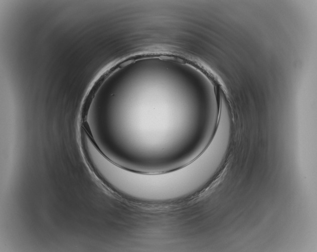 X0000116431085200912081519