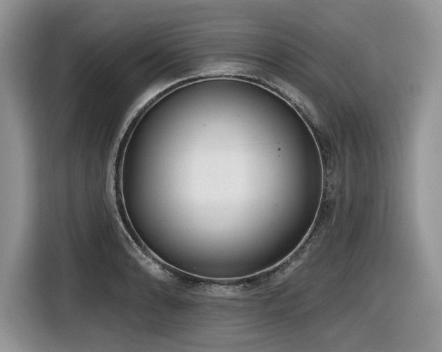 X0000116431086200912081519