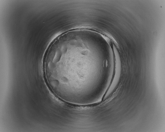 X0000116431087200912081519