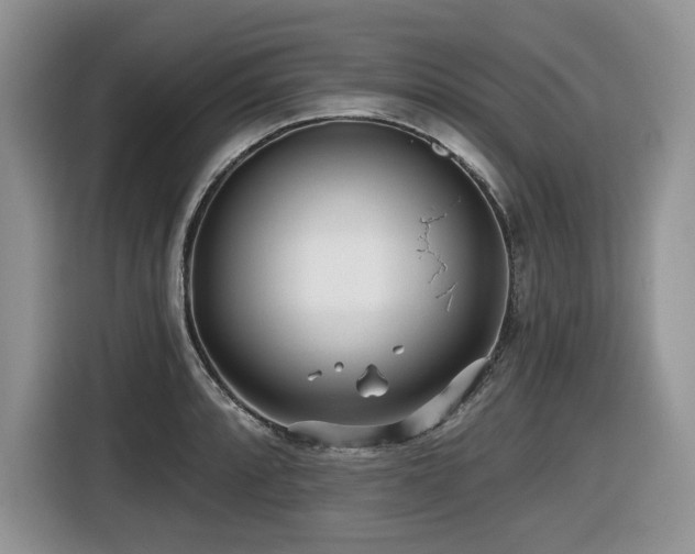 X0000116431088200912081519