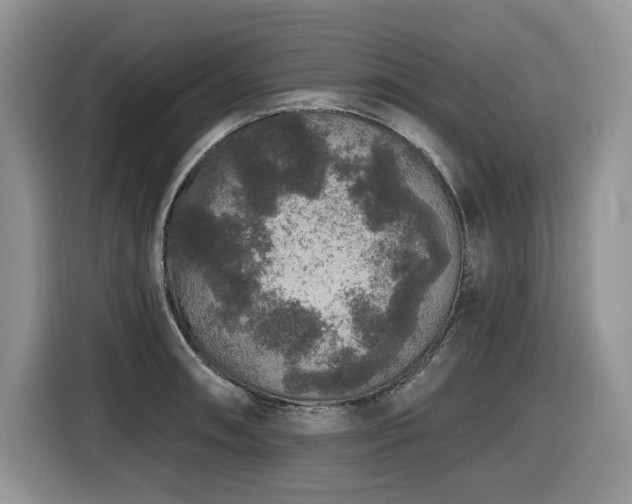 X0000116431090200912081519