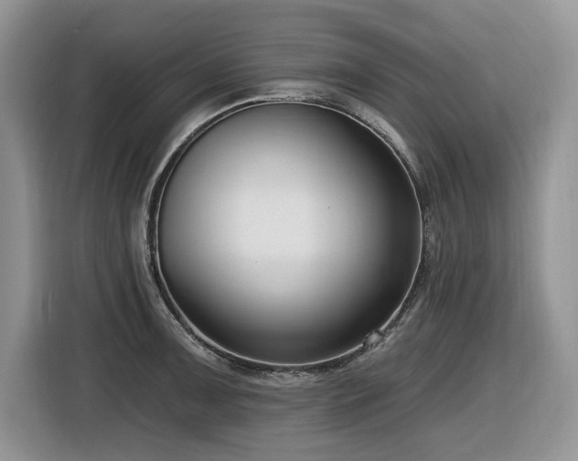 X0000116431091200912081519