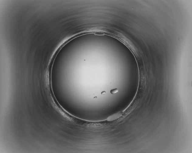 X0000116431092200912081519