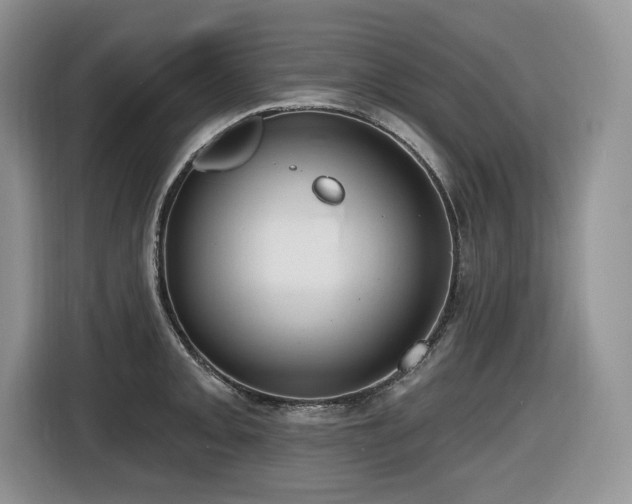 X0000116431093200912081519