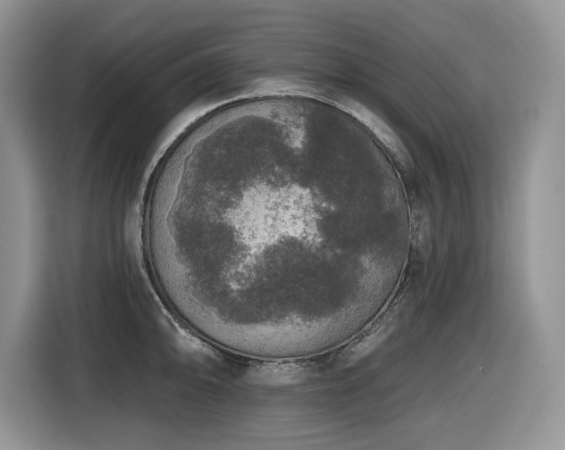 X0000116431094200912081519