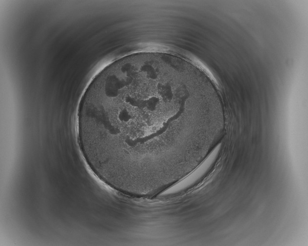 X0000116431095200912081519