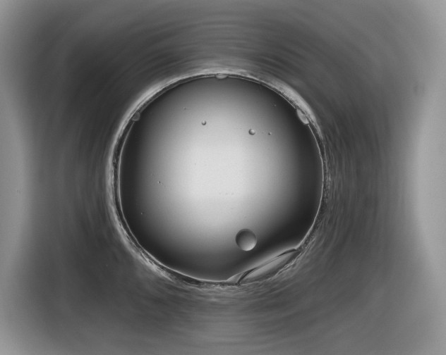 X0000116431096200912081519
