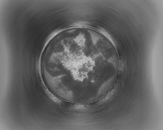 X0000116431098200912081519
