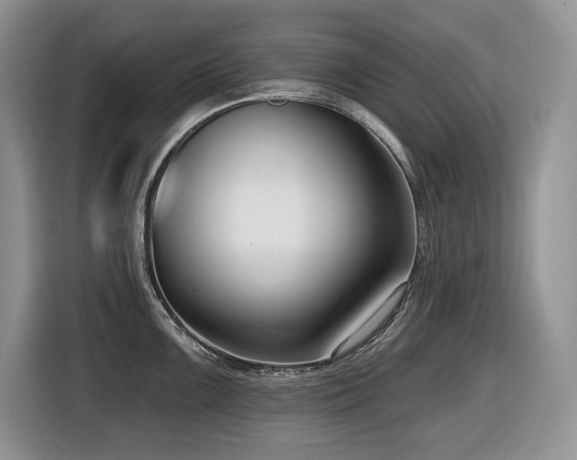 X0000116431099200912081519