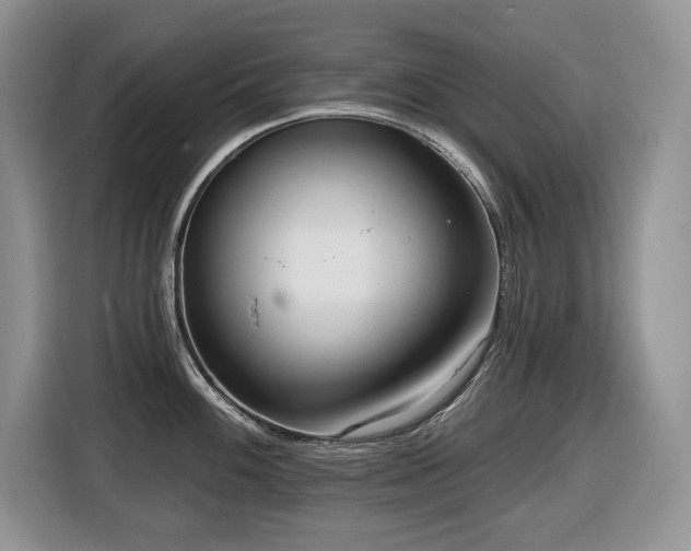 X0000116431100200912081519