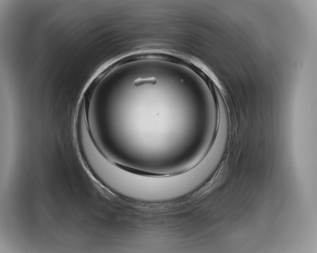 X0000116431101200912081519