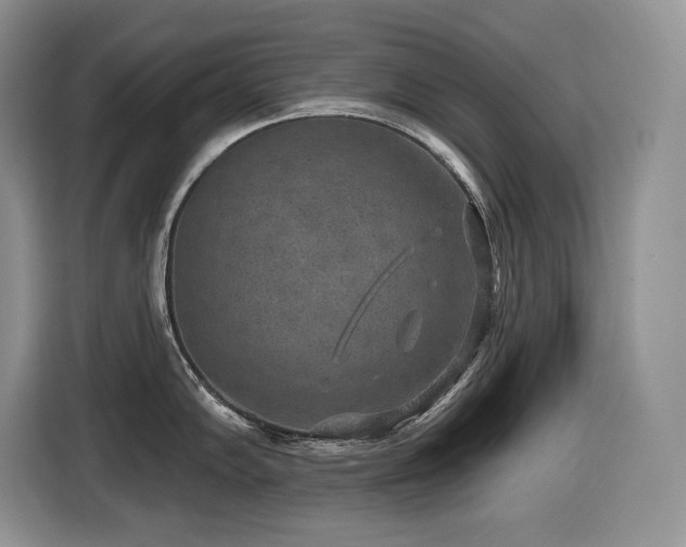 X0000116431102200912081519