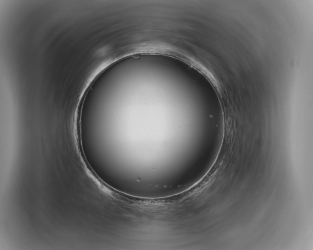 X0000116431103200912081519