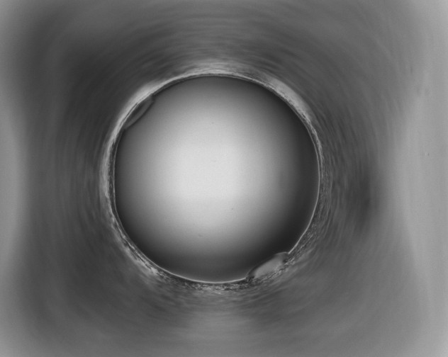 X0000116431104200912081519
