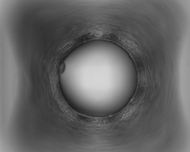 X0000116431105200912081518