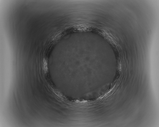 X0000116431106200912081518