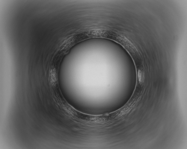 X0000116431107200912081518