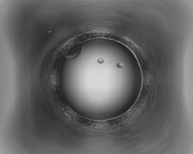 X0000116431110200912081518
