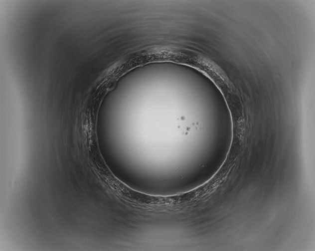 X0000116431111200912081518
