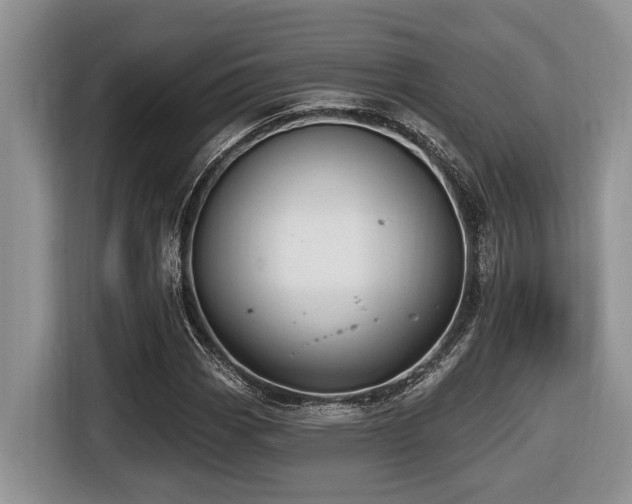 X0000116431113200912081518