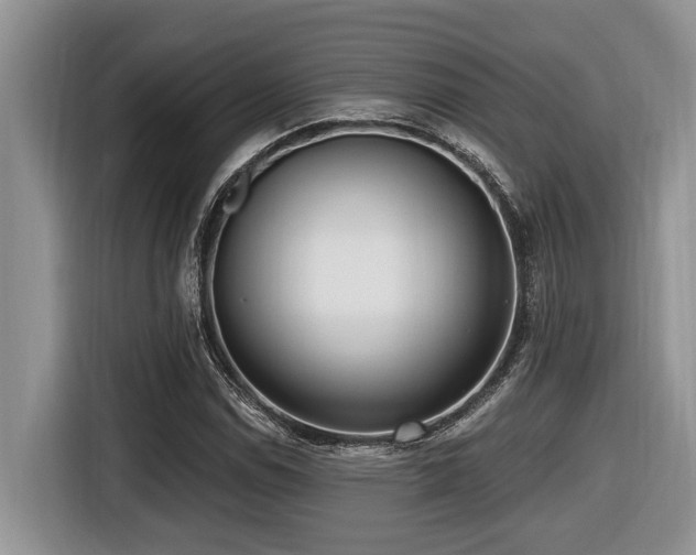 X0000116431114200912081518
