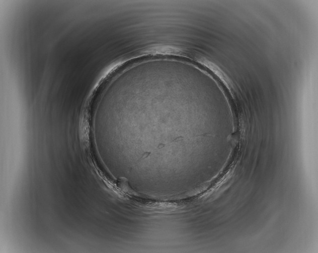 X0000116431115200912081518