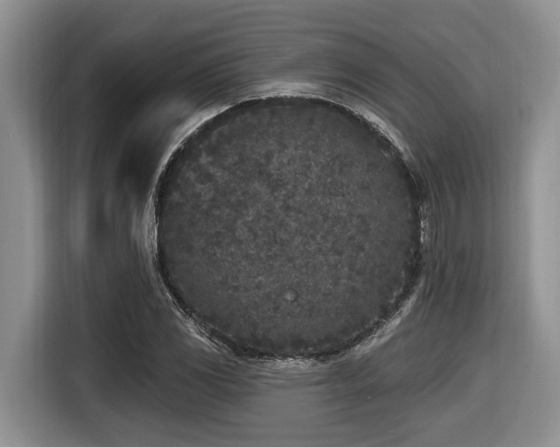X0000116431117200912081518