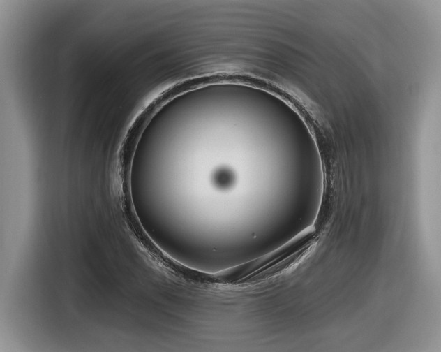 X0000116431118200912081518
