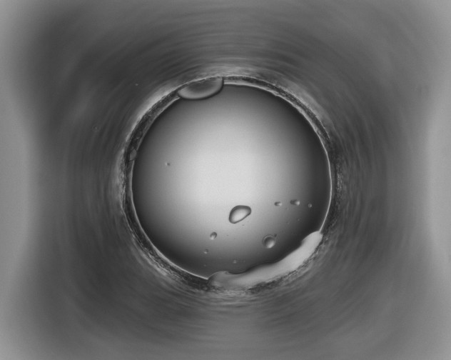 X0000116431119200912081518