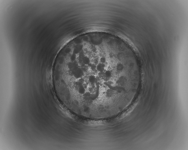 X0000116431121200912081518