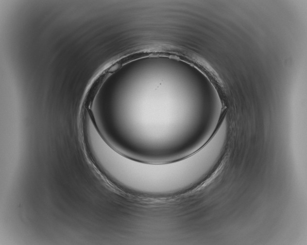 X0000116431122200912081518