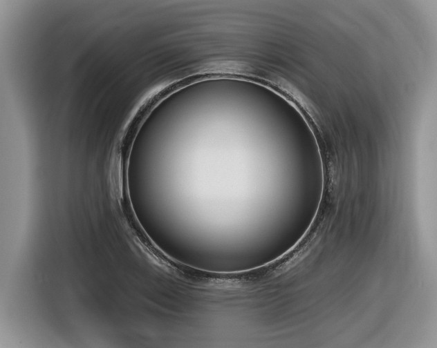 X0000116431123200912081518