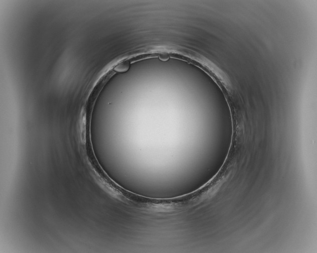 X0000116431126200912081519