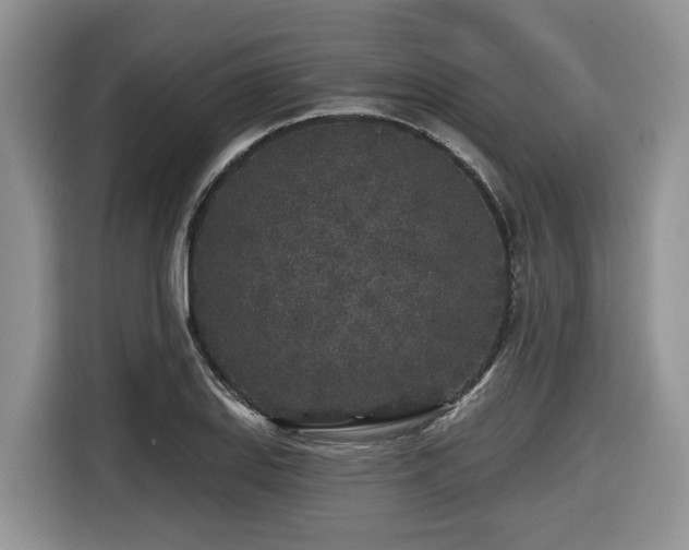 X0000116431127200912081519