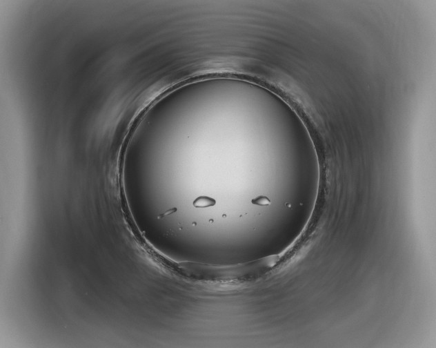 X0000116431129200912081519