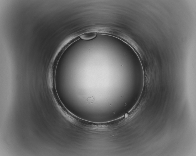 X0000116431131200912081519