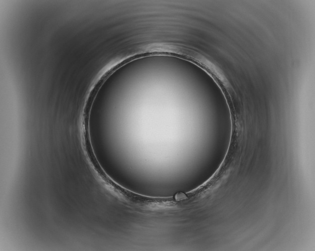 X0000116431133200912081519