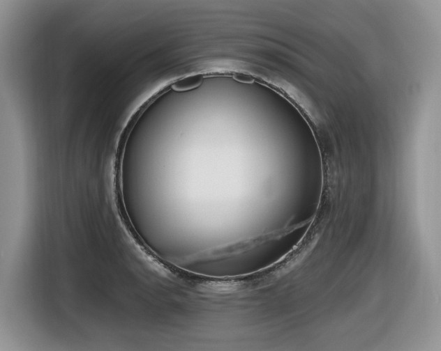 X0000116431134200912081519
