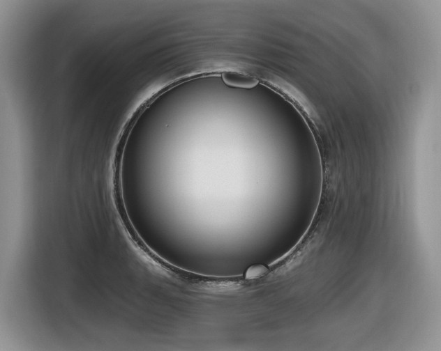 X0000116431135200912081519