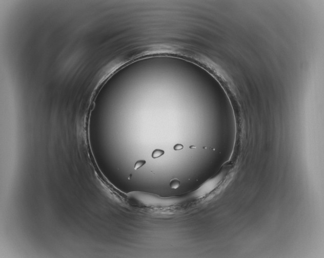 X0000116431137200912081519