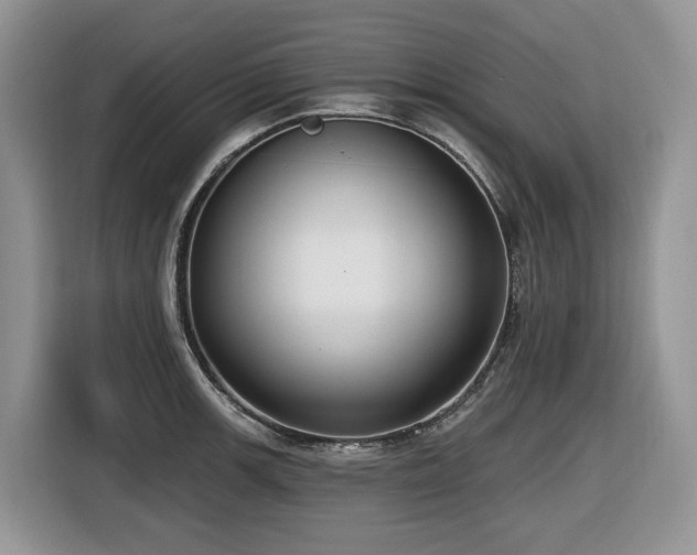 X0000116431139200912081519