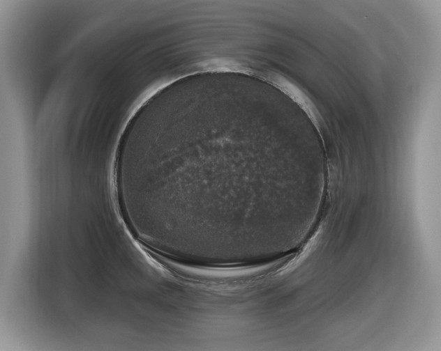 X0000116431141200912081519