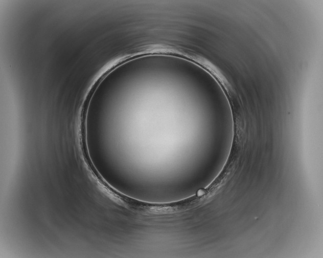 X0000116431142200912081519