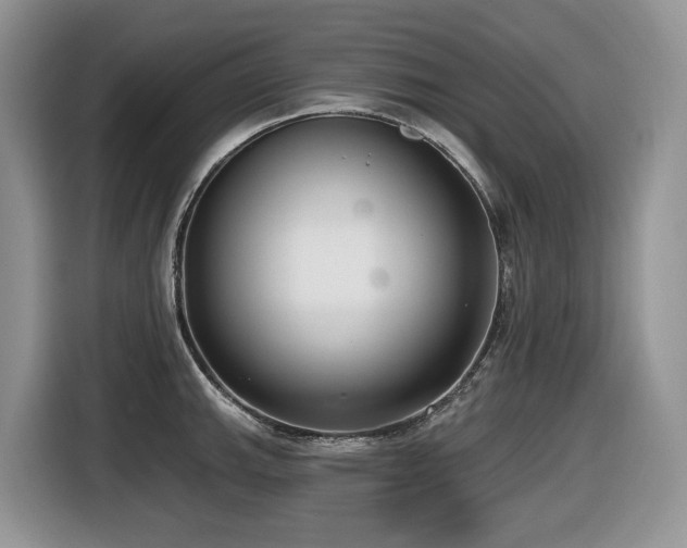 X0000116431143200912081519