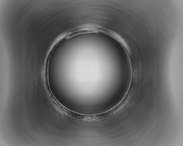 X0000116431146200912081519