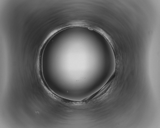 X0000116431147200912081519