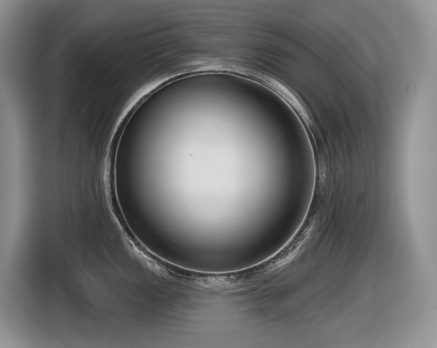 X0000116431149200912081519