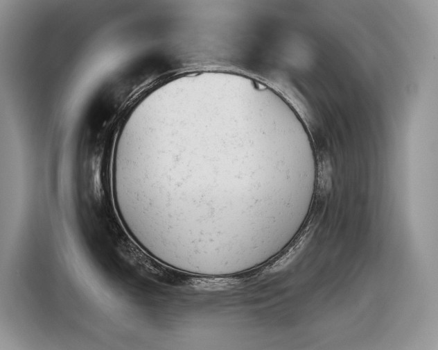 X0000116431150200912081519